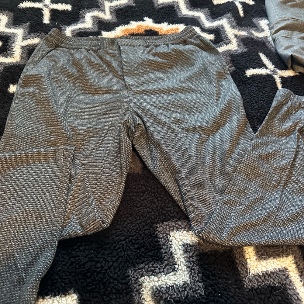Express casual dress pants.
